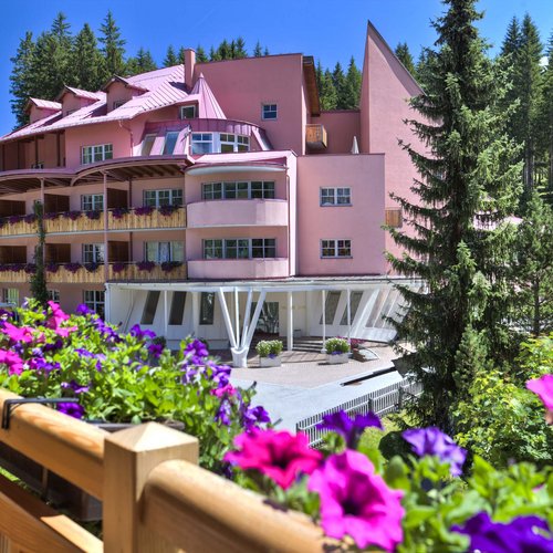 Urlaub in St. Jakob im Defereggental Rosa Hotel in bewaldeter Berglandschaft mit bunten Blumen im Vordergrund