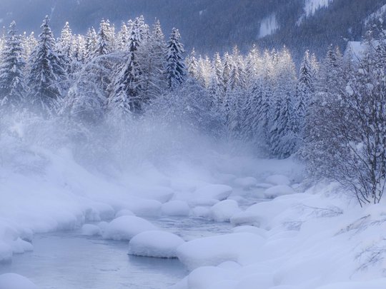 St. Jakob in Defereggen: escursioni e gite Fiume innevato con alberi nella nebbia invernale