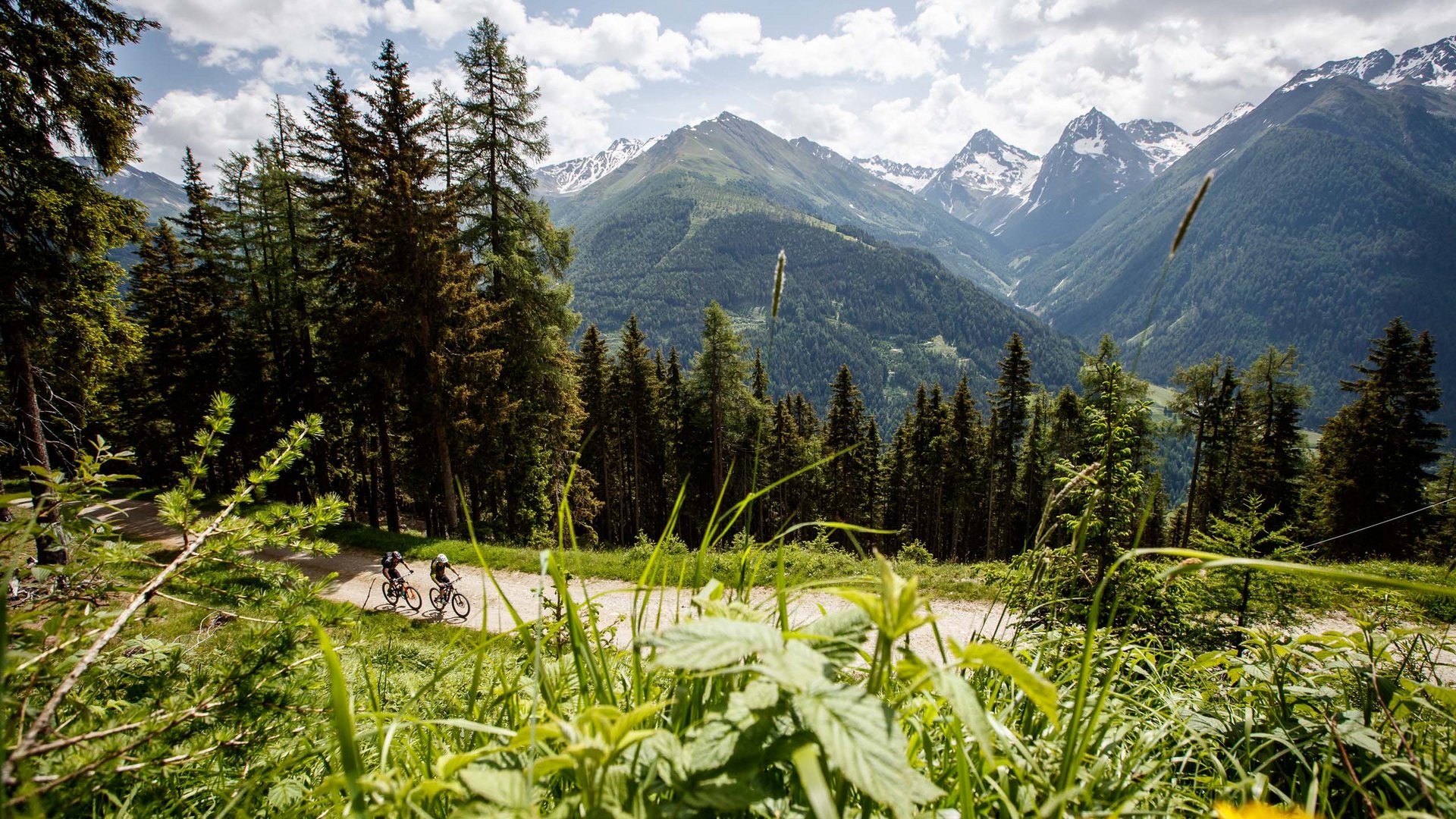 Mountain biking routes for all levels Two cyclists on a mountain trail with forest and snow-capped peaks in the background