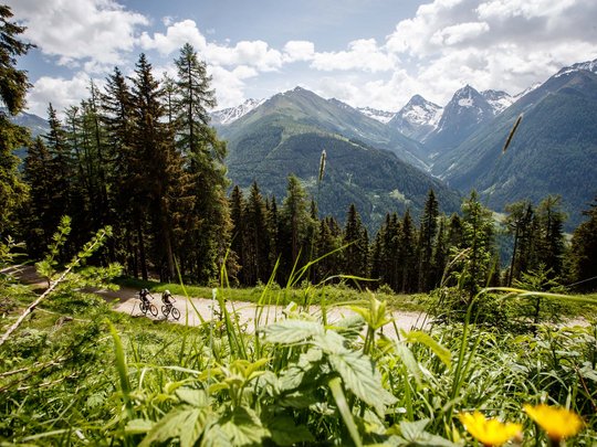Mountain biking routes for all levels Two cyclists on a mountain trail with forest and snow-capped peaks in the background
