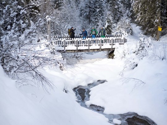 St. Jakob in Defereggen: escursioni e gite Quattro escursionisti su un ponte sopra un ruscello innevato nella foresta