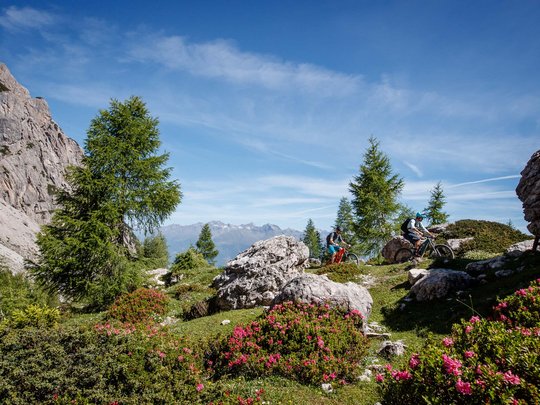 Jesacherhof: Ihr Hotel im Defereggental Zwei Mountainbiker fahren durch alpine Landschaft mit Blumen und Felsen