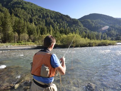 Fly fishing in Austria Person fly fishing in a mountain river with forest in the background