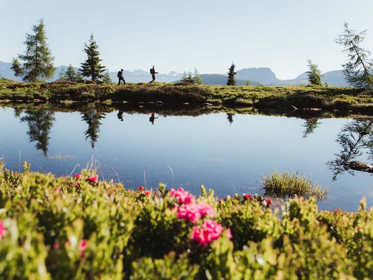 Jesacherhof: Ihr Hotel im Defereggental Wanderer spazieren am Seeufer mit Blumen und Bergblick im Hintergrund