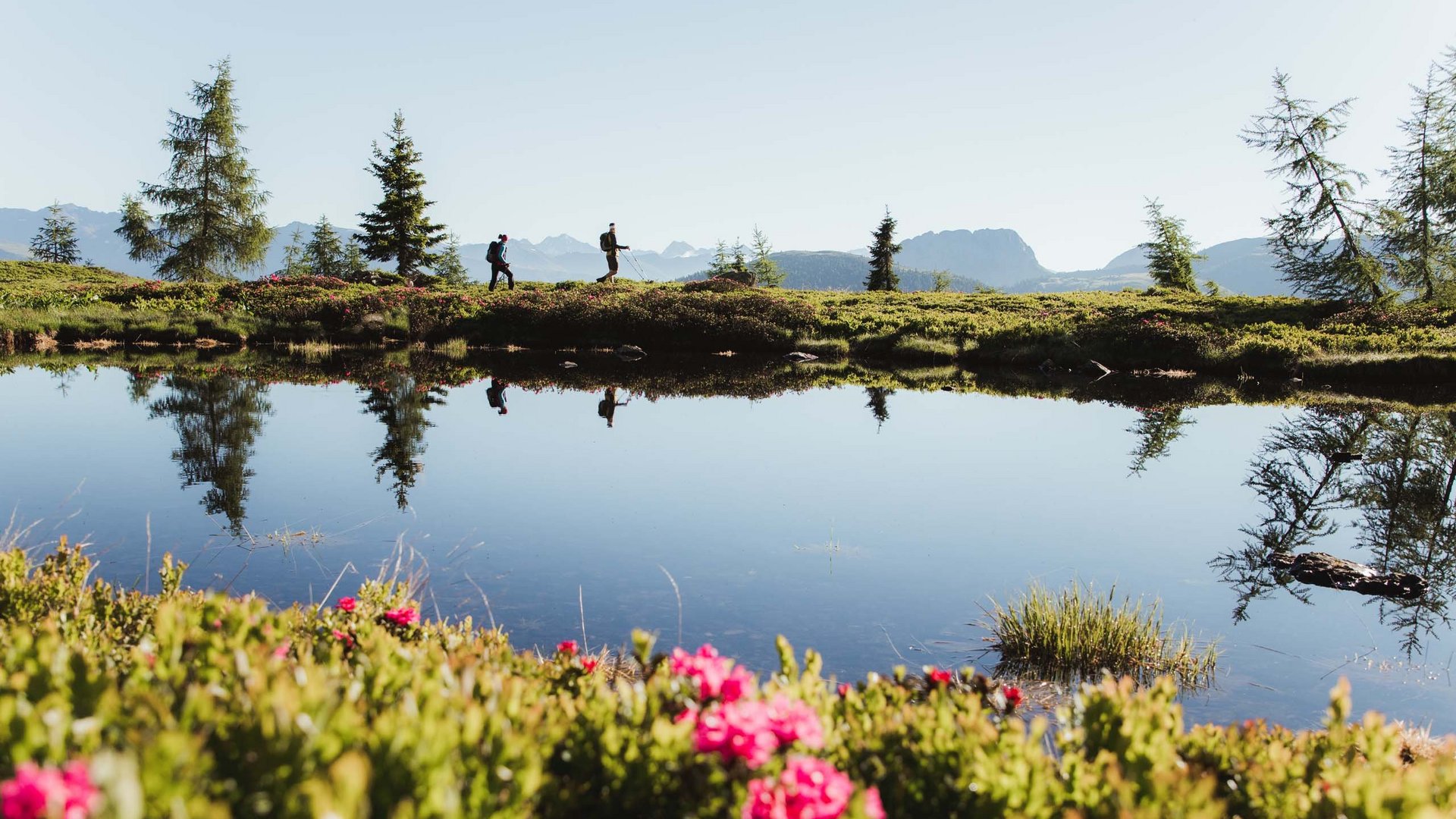 Trekking in Tirolo, Austria: allo Jesacherhof Escursionisti lungo il lago con fiori e montagne sullo sfondo