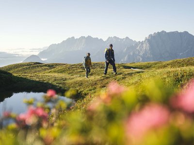 Alpine Urkraft im 4-Sterne-Superior-Hotel in Osttirol Zwei Wanderer gehen auf einer Bergwiese mit Alpen im Hintergrund