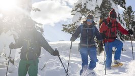 I servizi del nostro hotel per famiglie in Tirolo Tre persone che fanno escursionismo con racchette da neve in una foresta innevata
